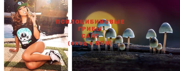 ешки Россошь